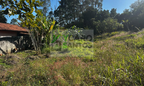 TERRENO 1.250 M²  NO ASFALTO - VARGEM GRANDE PAULISTA